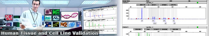 Human Tissue and Cell Line Validation
