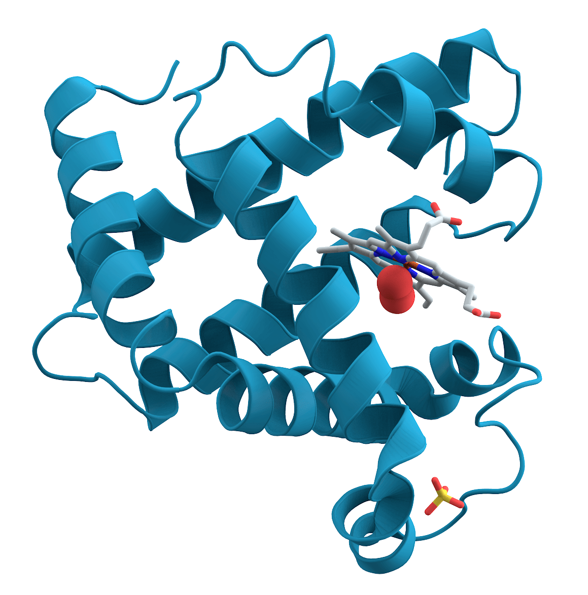 天然 / 組換えタンパク質 株式会社バイオロジカ Proteins