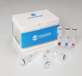 分子生物学関連試薬