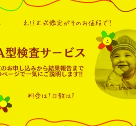 親子鑑定をはじめとしたDNA型検査サービス